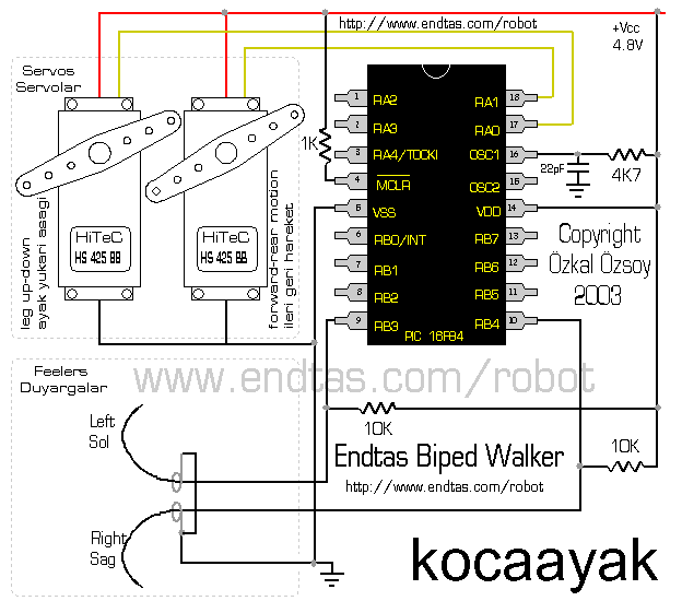 Robotrex Robotic Dinasaur circuit