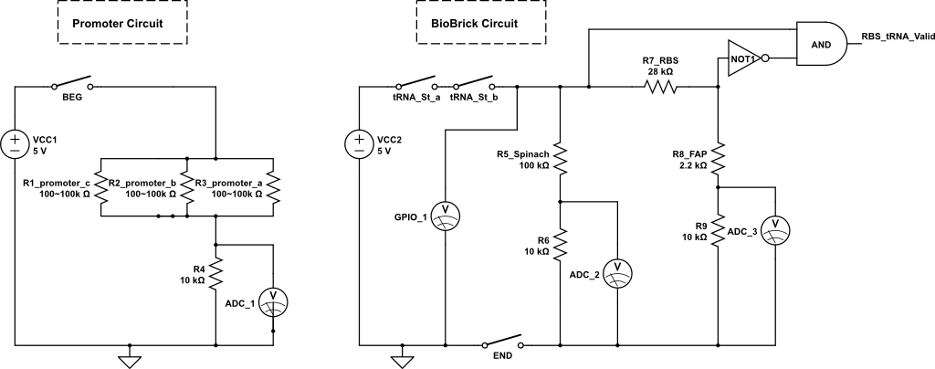 Hum Circuit